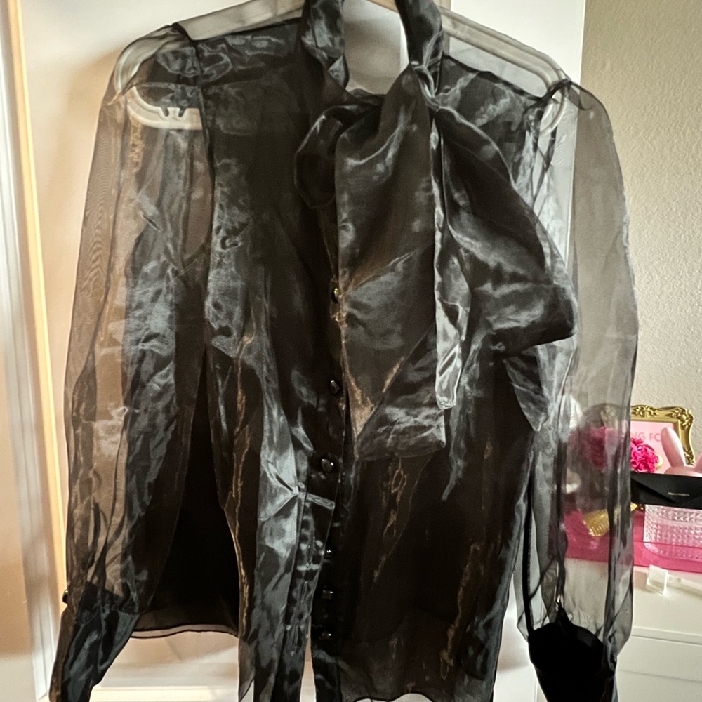 Zara Chic Sheer Black Blouse with Bow